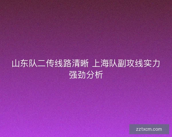 山东队二传线路清晰 上海队副攻线实力强劲分析