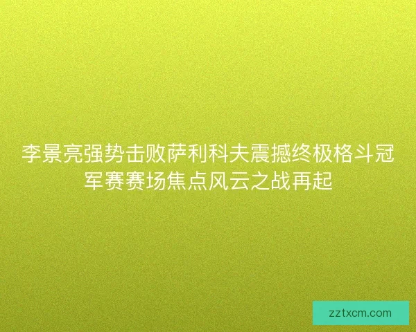 李景亮强势击败萨利科夫震撼终极格斗冠军赛赛场焦点风云之战再起